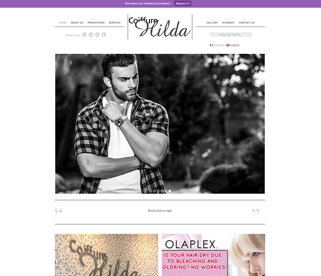 Wordpress website responsive design and development portfolio